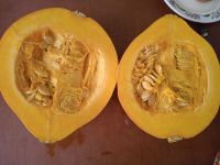 Лот: 18598106. Фото: 2. Тыква нарезка заморозка 300гр. Продукты
