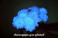 Лот: 9191526. Фото: 4. Живые светящиеся цветы тюльпаны... Красноярск