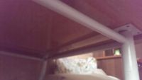 Лот: 6271861. Фото: 3. Стол квадратный 85 см. С рубля... Красноярск