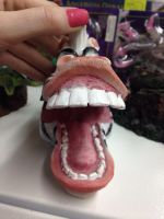 Лот: 5085160. Фото: 2. Распылитель для аквариума Зебра. Аквариумистика