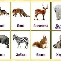 Лот: 2219503. Фото: 2. Карточки Домана, ламинированные... Игрушки