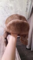Лот: 10744144. Фото: 2. Шапка норковая. Женская одежда