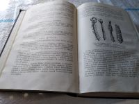 Лот: 18440510. Фото: 16. Доппельмаир Г.Г., Мальчевский...
