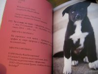 Лот: 25204264. Фото: 3. Подарочное издание, миниатюрная... Сувениры, подарки