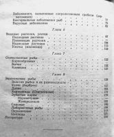 Лот: 24342286. Фото: 4. Пешков Максим (редакция) - Комнатный... Красноярск
