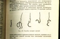 Лот: 25250038. Фото: 12. Самарин Д. Подледный лов. * 1952...