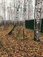 Лот: 10435608. Фото: 5. Продам дачный участок на Овинном