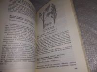 Лот: 19018380. Фото: 5. Пищевые растения Сибири. Серия...