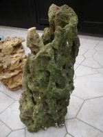 Лот: 9851522. Фото: 2. Камень песчаник. Аквариумистика