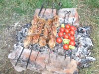 Лот: 4061044. Фото: 4. Мясо перепелов свежее