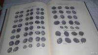 Лот: 9907855. Фото: 4. Русские монеты от Ивана Грозного... Красноярск