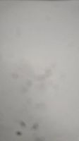 Лот: 18821514. Фото: 7. Sony Xperia Z5 Compact