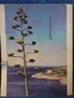 Лот: 6310244. Фото: 2. журнал художественной фотографии... Искусство, культура