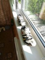 Лот: 4273796. Фото: 3. шиповки Nike легкоатлетические. Одежда, обувь, галантерея