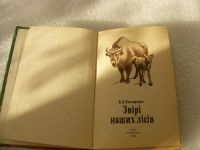 Лот: 9533133. Фото: 2. Детская книга Звери наших лесов... Антиквариат