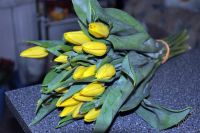 Лот: 1618976. Фото: 3. TULIPANO
