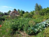 Лот: 25294766. Фото: 12. 1-комн. дом , , 423. продажа