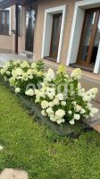 Лот: 25286975. Фото: 8. 4-комн. дом , посёлок Солонцы...