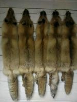 Лот: 10949928. Фото: 2. Шкура лисы. Охота