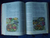 Лот: 10631896. Фото: 5. Книга о вкусной и здоровой пище...