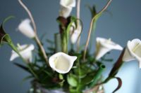 Лот: 4590774. Фото: 2. Цветочная копозиция Каллы. Домашний быт