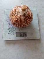 Лот: 19852012. Фото: 2. Колбаса домашняя 👍👍👍ветчина-... Продукты