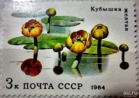 Лот: 12966474. Фото: 2. Марки Флора. СССР. Водные растения... Коллекционирование, моделизм