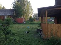 Лот: 2971885. Фото: 7. Дача (Еловка)