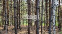 Лот: 25295123. Фото: 4. участок , СНТ Рось СНТ Рось, 57... Красноярск