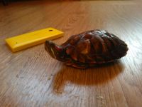 Лот: 6623870. Фото: 7. Красноухая пресноводная черепаха