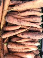 Лот: 2119169. Фото: 2. Морковь свежая (урожай 2019) лот... Продукты