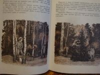 Лот: 8368087. Фото: 5. За сказкой-рассказ, за рассказом-сказка...