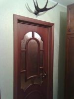 Лот: 6661611. Фото: 2. дверь шпон в к-те. Двери, окна, фурнитура