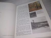 Лот: 25722085. Фото: 4. ВбР(00-36)Почивалов Л. Белые сны... Красноярск