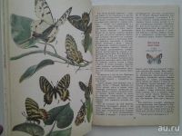 Лот: 18561755. Фото: 5. Никитский Николай, Сидоров Андрей...