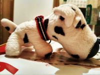 Лот: 15208427. Фото: 4. Игрушка "The dog collection"