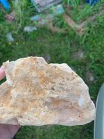 Лот: 20714365. Фото: 3. Окаменелость. Красноярск