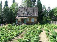Лот: 6880874. Фото: 4. Продам дачу с клубникой. Красноярск