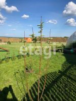 Лот: 25291543. Фото: 8. 3-комн. дача , товарищество собственников...