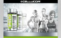 Лот: 2353353. Фото: 4. жиросжигатель Super HD Cellucor...