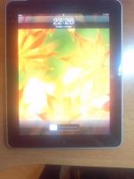 Лот: 3585505. Фото: 2. Apple iPad 16Gb Wi-Fi + 3G. Компьютеры, ноутбуки, планшеты