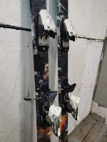 Лот: 14573681. Фото: 3. Лыжи твин тип twin tip nordica... Спортивные товары