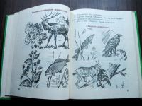 Лот: 25630789. Фото: 3. Н. Я. Дмитриева. Естествознание... Литература, книги