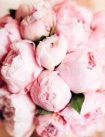 Лот: 3071004. Фото: 19. Свадебный букет в различных вариациях