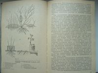 Лот: 10754891. Фото: 2. Наш сад и огород. Справочник садовода... Дом, сад, досуг