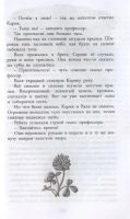 Лот: 16739943. Фото: 7. Ян Ларри "Необыкновенные приключения...