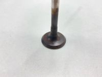 Лот: 25104483. Фото: 5. Клапан выпускной Mazda Mpv 2001...