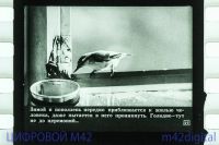 Лот: 5834417. Фото: 7. диафильм перелетные и зимующие...