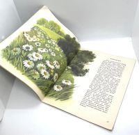 Лот: 25169609. Фото: 8. 📗 Анатолий Онегов. На лугу. Худ...