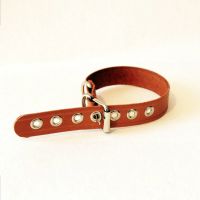 Лот: 20869809. Фото: 3. Ошейник из натуральной кожи для... Растения и животные